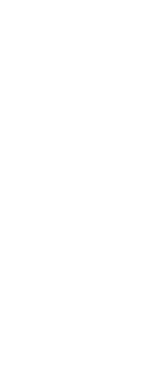 level1