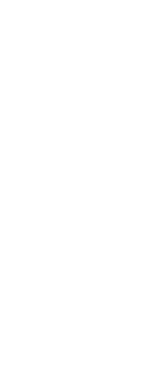 level2