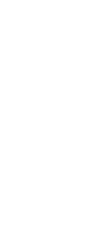 level3